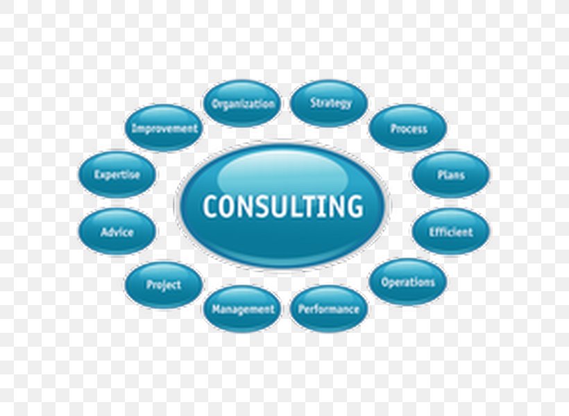 Consultant Management Consulting Business Plan, PNG, 600x600px, Consultant, Aqua, Brand, Business, Business Consultant Download Free