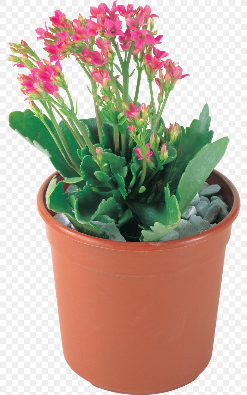 Cut Flowers Flowerpot Pink Plant, PNG, 2218x3546px, Cut Flowers, Flower, Flowering Plant, Flowerpot, Herb Download Free