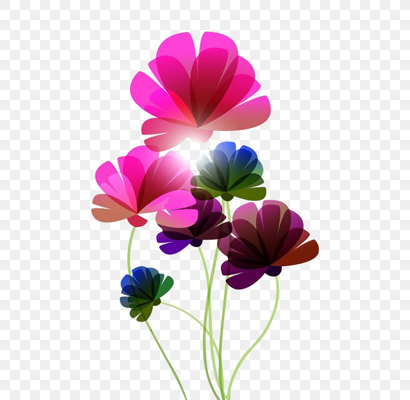 Floral Design Flower Decorative Arts, PNG, 800x800px, Floral Design, Anemone, Annual Plant, Art, Brochure Download Free