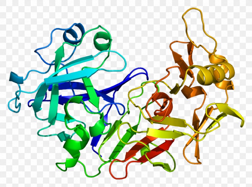 Pepsinogen PGA5 Protein Pepstatin, PNG, 832x620px, Watercolor, Cartoon, Flower, Frame, Heart Download Free