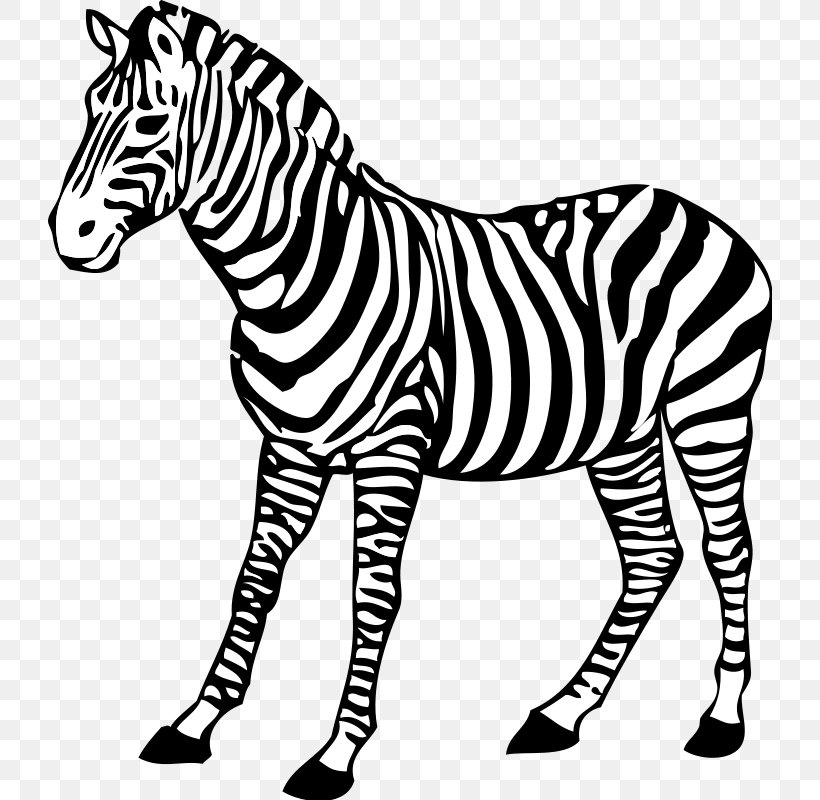 Zebra Black And White Clip Art, PNG, 724x800px, Zebra, Animal Figure, Big  Cats, Black And White,