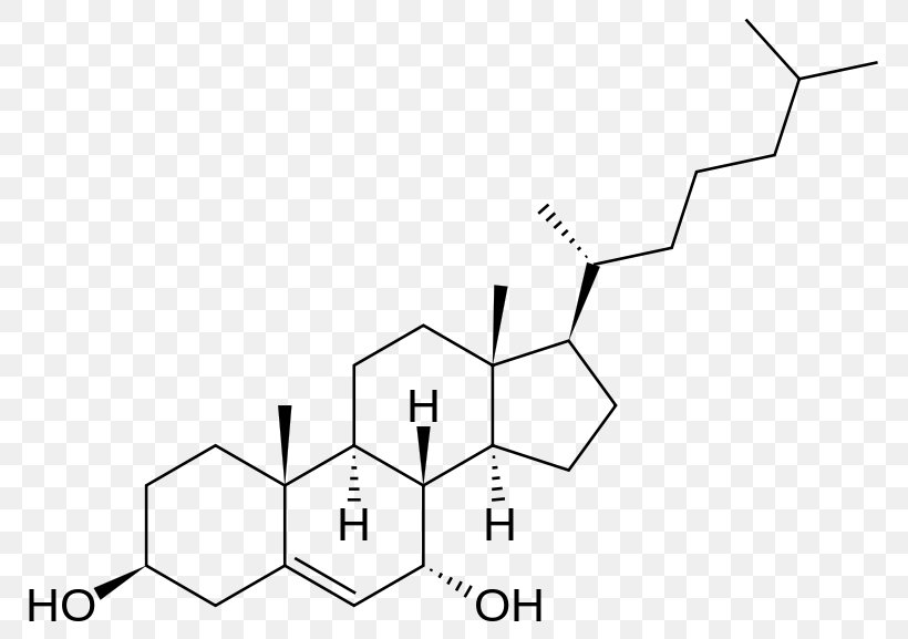 Dehydroepiandrosterone Estrogen Receptor Hidroksiholesterol 27-Hydroxycholesterol 7-Dehydrocholesterol, PNG, 800x577px, Dehydroepiandrosterone, Androgen, Area, Black And White, Diagram Download Free