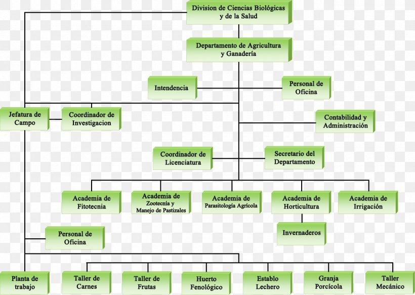 Farm Organizational Chart