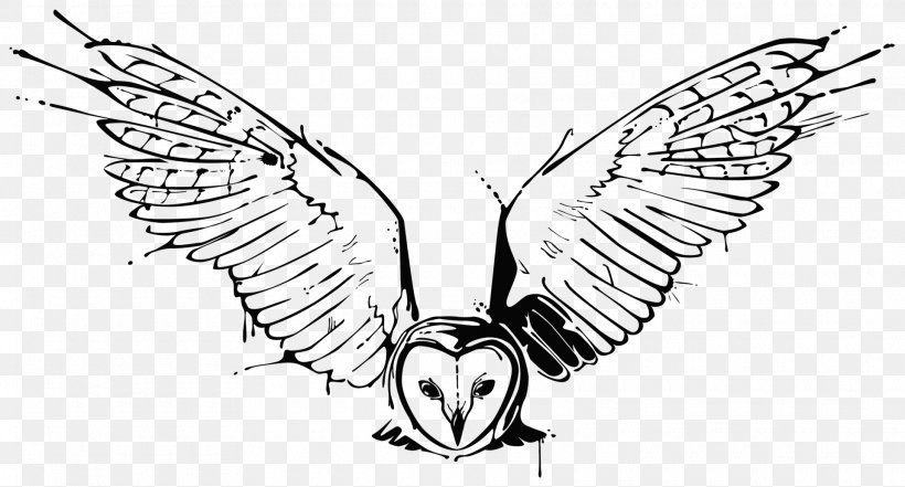 Australian Drawing Barn Owl  Small Barn Owl Tattoo Transparent PNG   564x846  Free Download on NicePNG