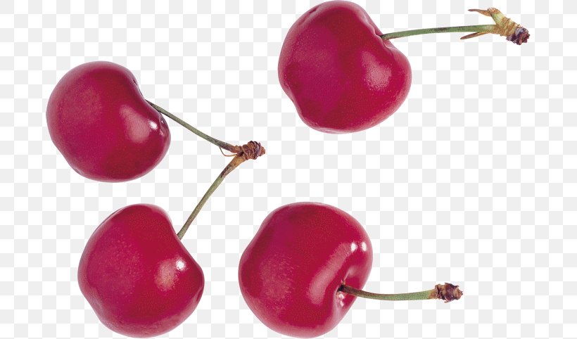Cherries Cerasus Clip Art JPEG, PNG, 689x482px, Cherries, Acerola, Acerola Family, Berries, Berry Download Free