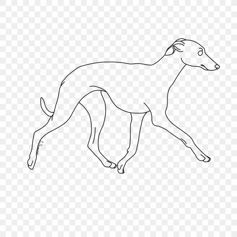 Whippet Italian Greyhound Line Art Dog Breed, PNG, 894x894px, Whippet, Art, Artist, Artwork, Black And White Download Free