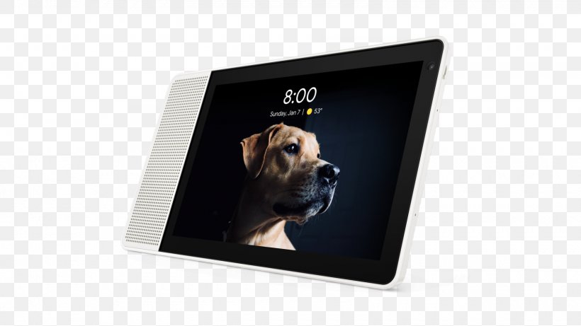 Amazon Echo Show Laptop Smart Display Lenovo, PNG, 1600x901px, Amazon Echo Show, Amazon Echo, Display Device, Dog, Dog Like Mammal Download Free