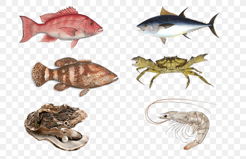 Fish Oyster Crab Wat Genade Met Je Doet Seafood, PNG, 800x530px, Fish, Animal Source Foods, Crab, Eating Live Seafood, Fauna Download Free