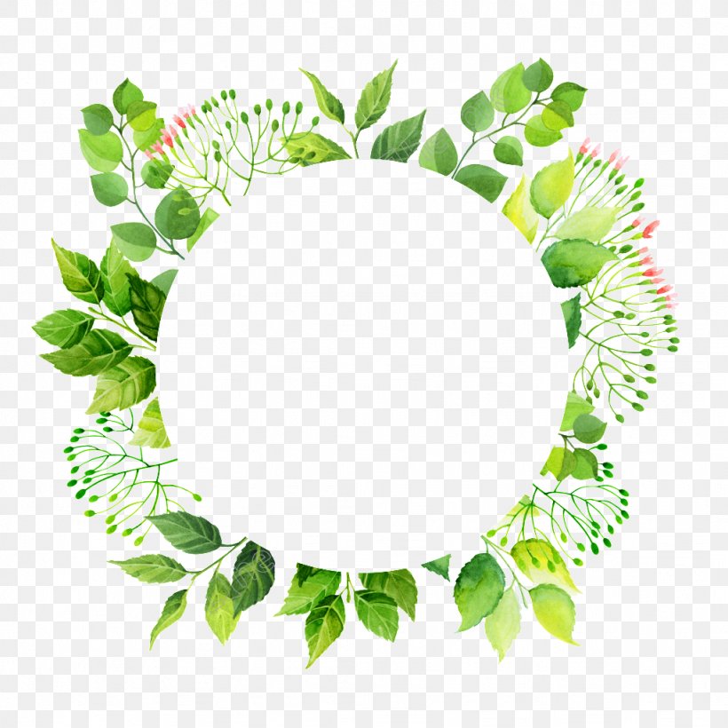 Image Transparency Green Vector Graphics, PNG, 1024x1024px, Green, Branch, Flower, Grass, Image File Formats Download Free