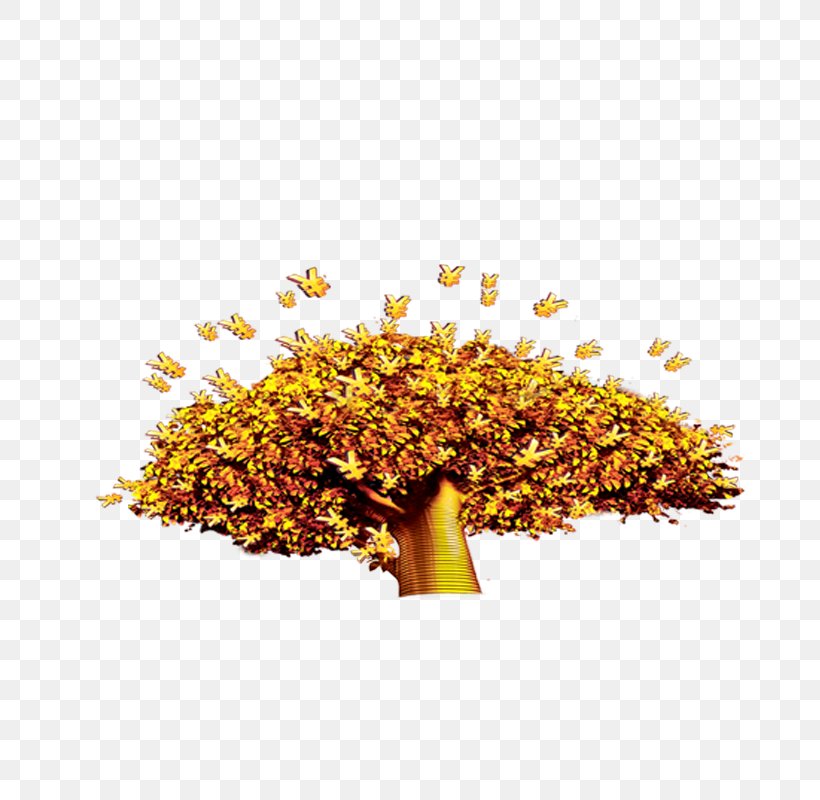 Tree Download Computer File, PNG, 800x800px, Tree, Drawing, Grass, Gratis, Investment Download Free