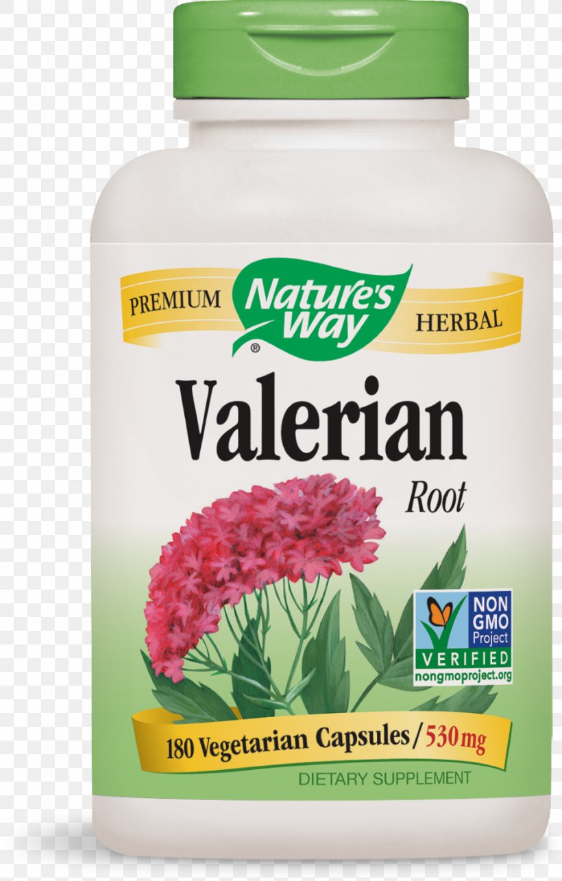 Valerian Dietary Supplement Capsule Extract Valerenic Acid, PNG, 957x1500px, Valerian, Anxiety, Anxiety Disorder, Capsule, Dietary Supplement Download Free