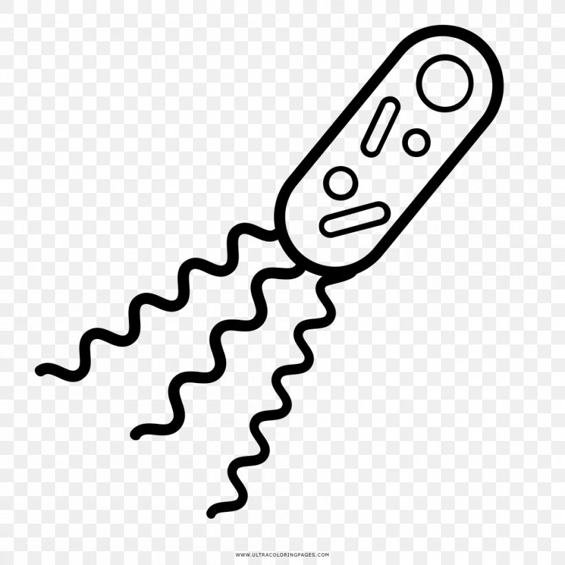 Bacteria Drawing Coloring Book Biology Microscope, PNG, 1000x1000px, Bacteria, Amine, Area, Biology, Black And White Download Free