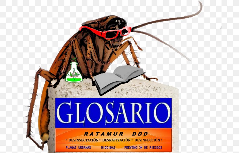Cockroach Boric Acid Acari Beetle Spider, PNG, 700x525px, Cockroach, Acari, Advertising, Arachnid, Beetle Download Free
