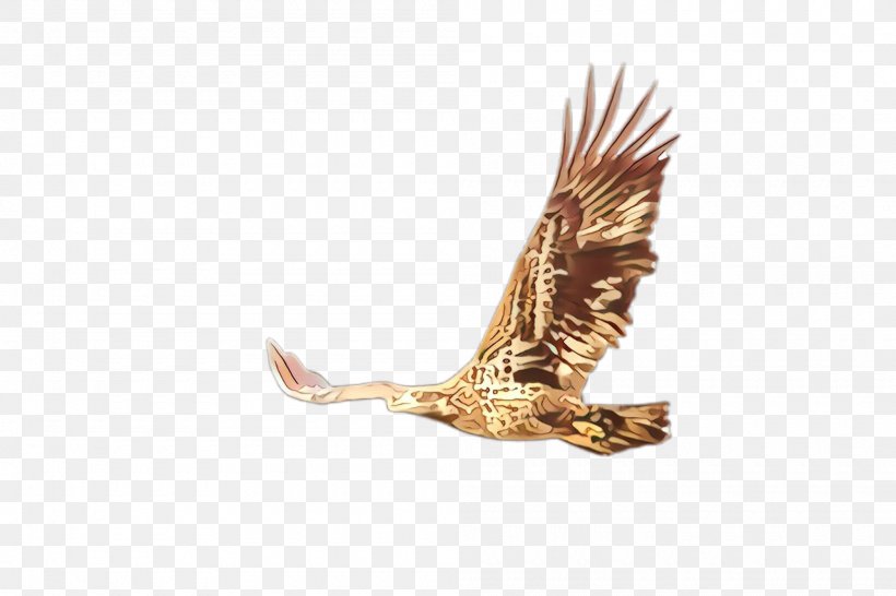Golden Eagle Eagle Bird Accipitridae Bird Of Prey, PNG, 2000x1332px, Golden Eagle, Accipitridae, Bird, Bird Of Prey, Eagle Download Free