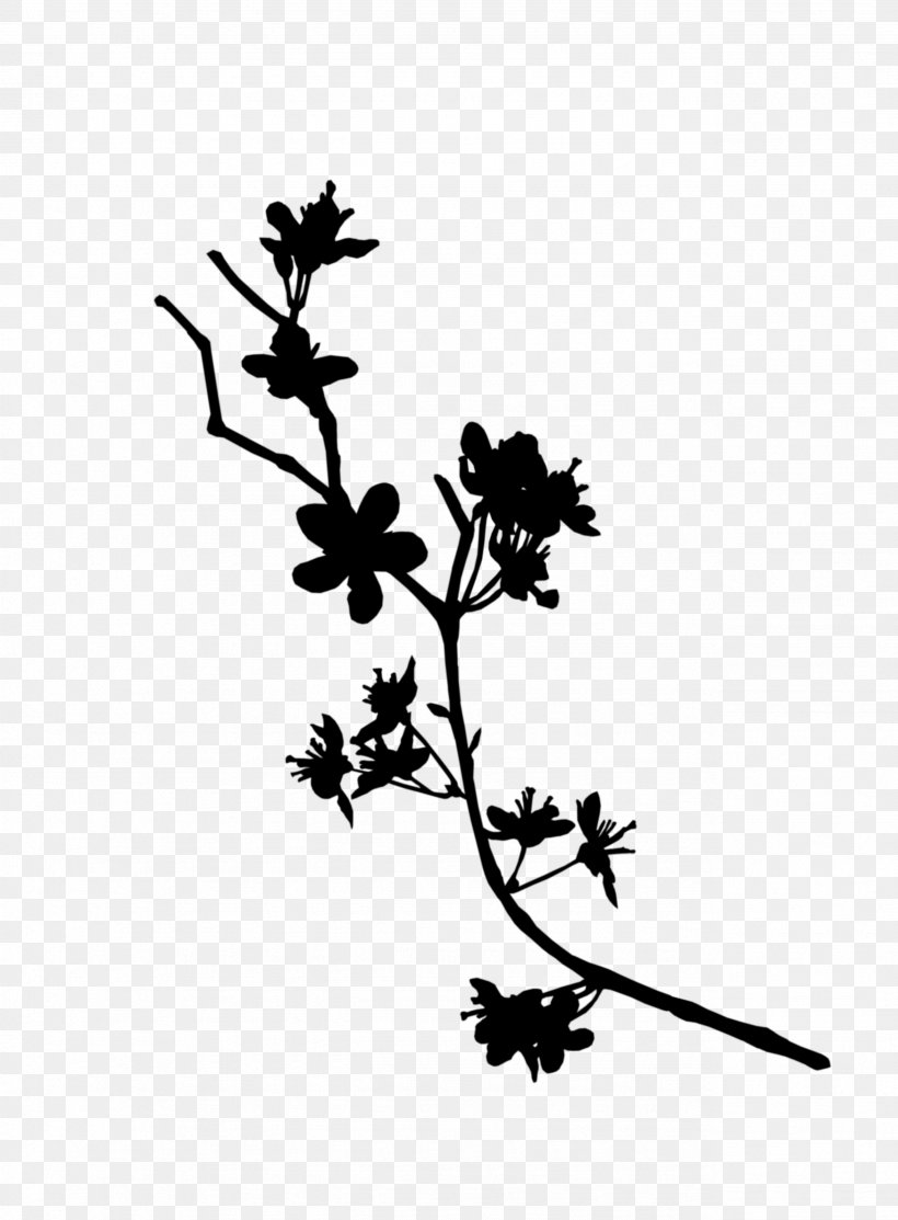 Twig Plant Stem Flower Leaf Line, PNG, 2568x3488px, Twig, Blackandwhite, Botany, Branch, Flower Download Free