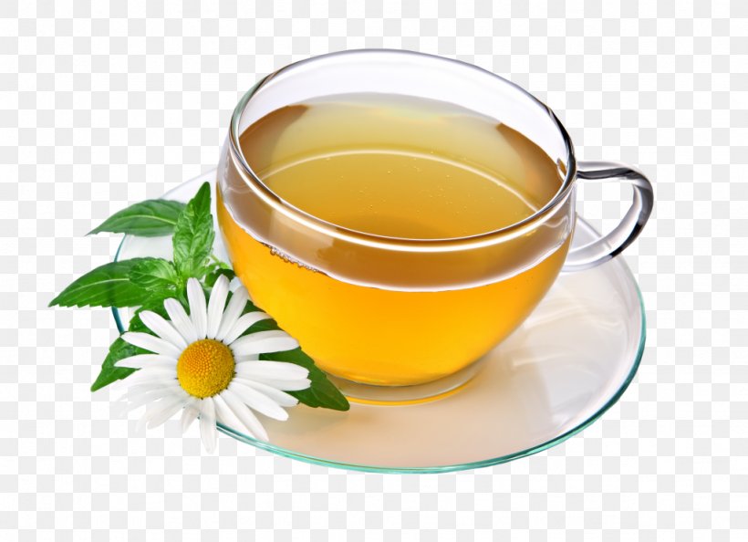 Green Tea Chrysanthemum Tea Flowering Tea Herbal Tea, PNG, 1024x743px, Tea, Assam Tea, Black Tea, Camellia Sinensis, Chamomile Download Free