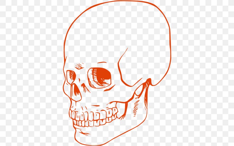 Human Skull Coloring Book Drawing Calavera, PNG, 512x512px, Watercolor, Cartoon, Flower, Frame, Heart Download Free