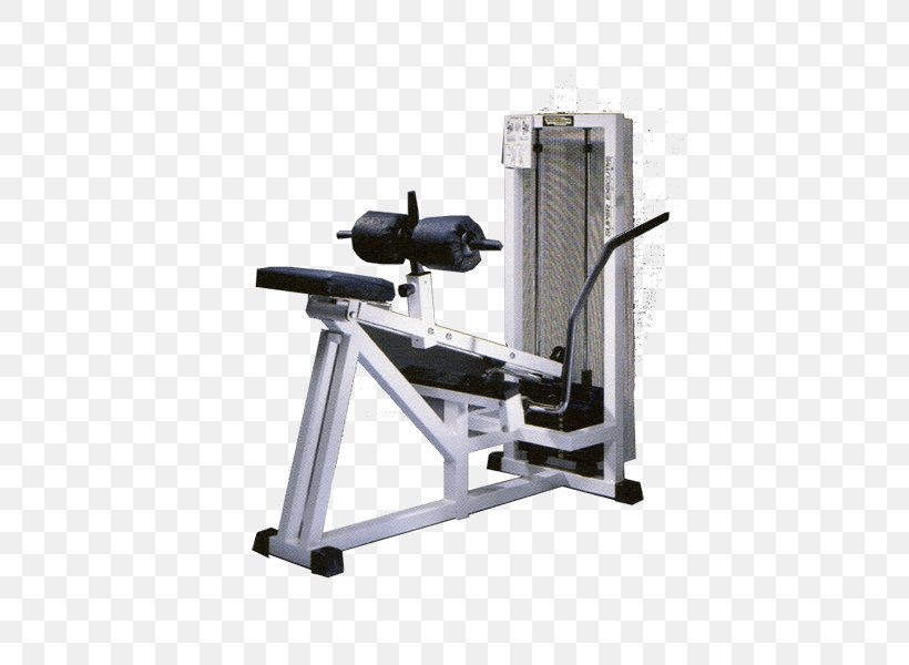 Weightlifting Machine Fitness Centre The Verde Sport Di Guerriero Ornella Technogym, PNG, 600x600px, Weightlifting Machine, Calf, Catalog, Exercise Equipment, Exercise Machine Download Free