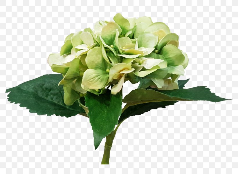 Cut Flowers Floral Design Floristry Flower Bouquet, PNG, 800x600px, Flower, Artificial Flower, Cornales, Cut Flowers, Floral Design Download Free