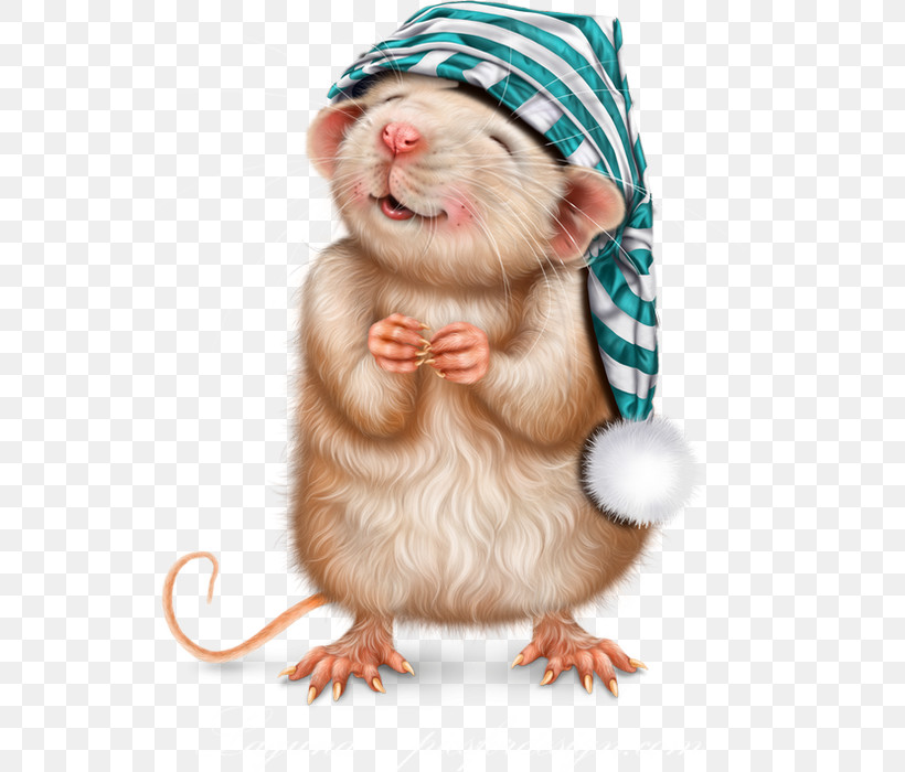 Hamster, PNG, 575x700px, Rat, Ferret, Fur, Gerbil, Hamster Download Free