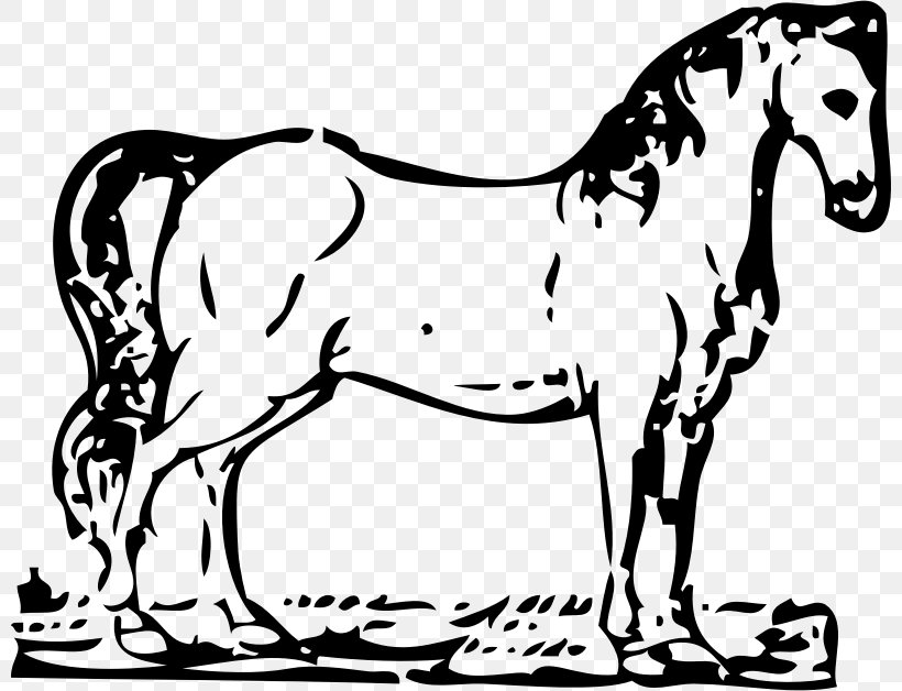Horse Equestrian Coloring Book Clip Art, PNG, 800x628px, Horse, Animal Figure, Art, Black And White, Bridle Download Free