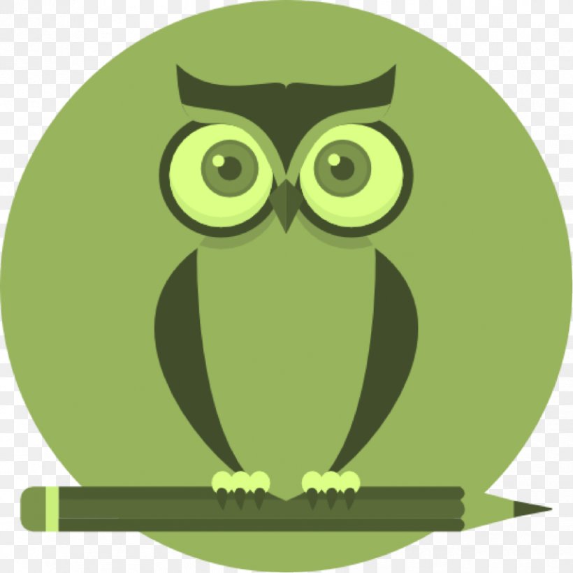 Owl Clip Art Vector Graphics, PNG, 854x854px, Owl, Bird, Bird Of Prey, Cartoon, Eastern Screech Owl Download Free