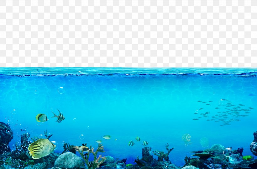 Underwater Sea Wallpaper, PNG, 2500x1643px, Underwater World Singapore,  Aqua, Azure, Blue, Deep Sea Download Free