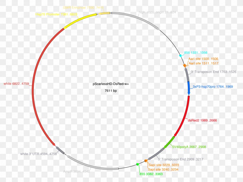 Brand Circle Angle Diagram, PNG, 3661x2746px, Brand, Area, Diagram, Document, Sphere Download Free