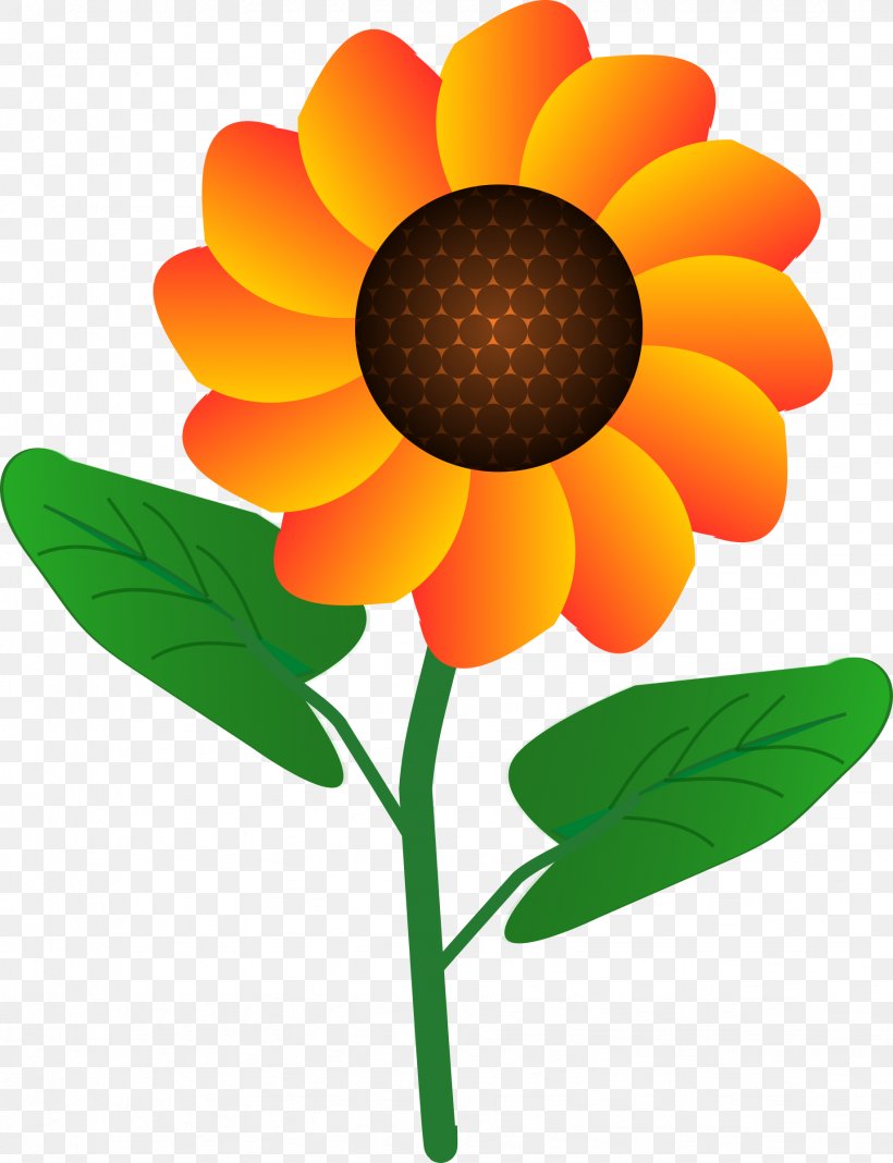 Common Sunflower Clip Art, PNG, 1841x2400px, Common Sunflower, Cartoon, Cut Flowers, Dahlia, Daisy Family Download Free