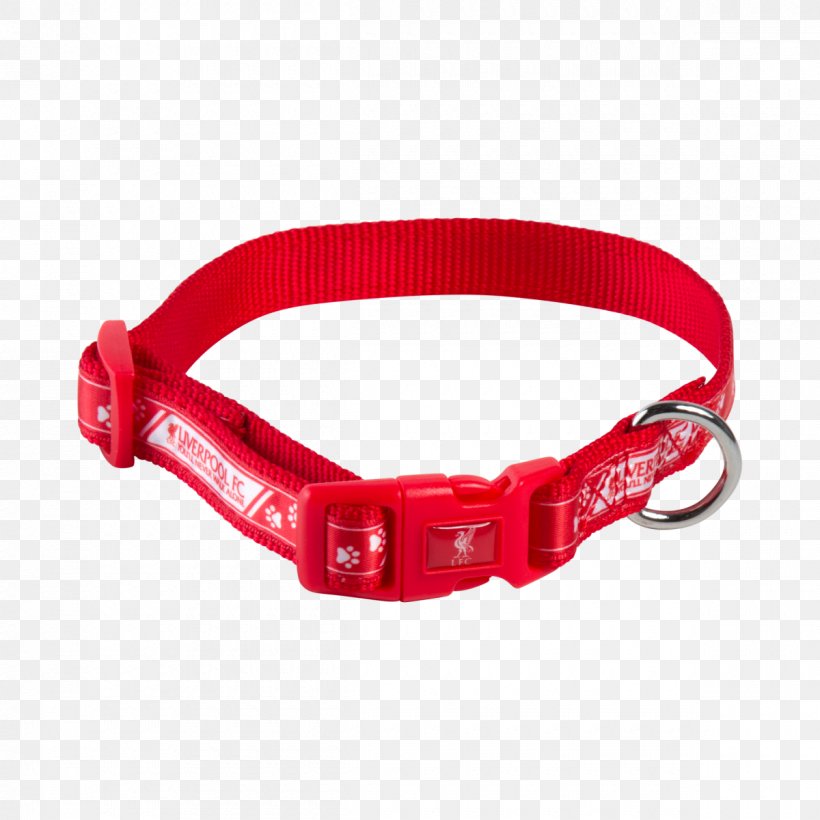 Dog Collar Liverpool F.C. Leash Dog Collar, PNG, 1200x1200px, Dog, Collar, Dog Collar, Fashion Accessory, Leash Download Free