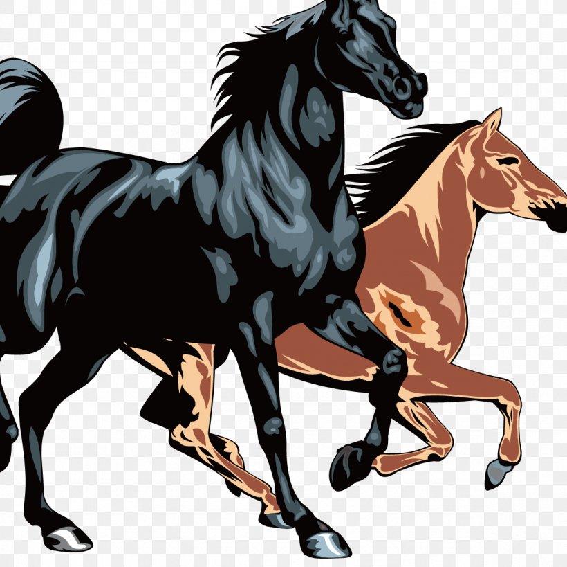 Horse Equestrianism Clip Art, PNG, 1181x1181px, Horse, Bridle, Colt, English Riding, Equestrian Download Free