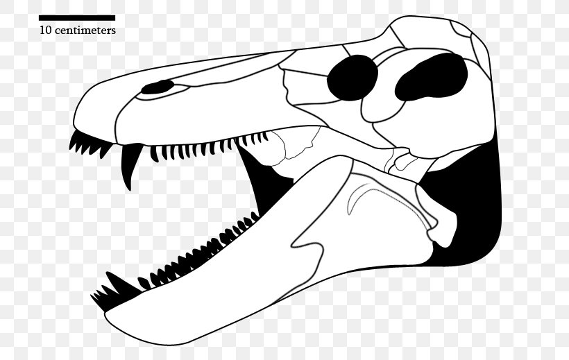 Jonkeria Tapinocephalus Assemblage Zone Bone Skull, PNG, 750x519px, Watercolor, Cartoon, Flower, Frame, Heart Download Free