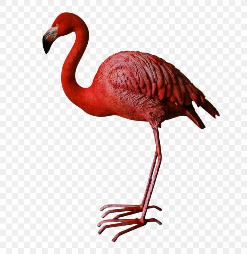 Beak Neck Animal, PNG, 1207x1238px, Beak, Animal, Art, Bird, Flamingo Download Free