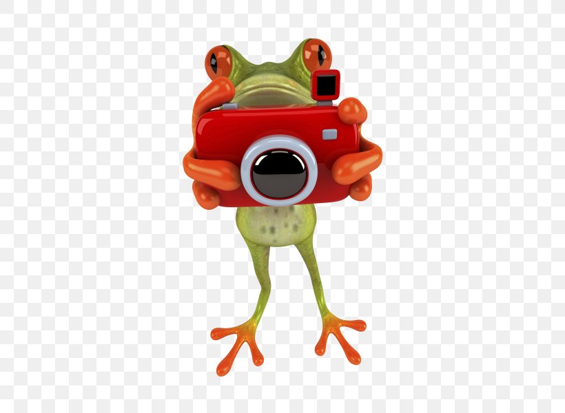 Infocus Photography Insurance Photographer, PNG, 600x600px, Infocus Photography Insurance, Amphibian, Animal Figure, Fashion Photography, Fineart Photography Download Free