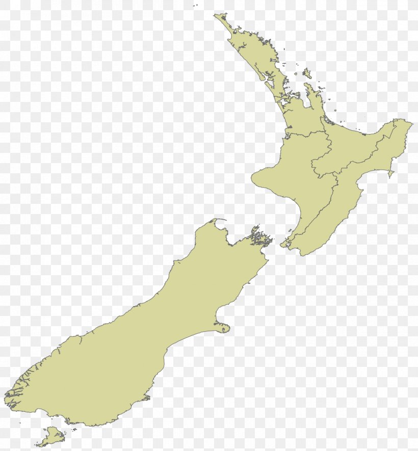 New Zealand Maori Arts And Crafts Institute New Zealand General Election 17 Maori Electorates Maori People