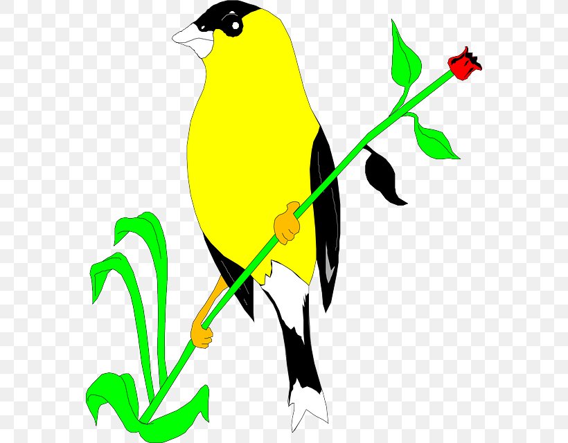 Bird American Goldfinch European Goldfinch Clip Art, PNG, 572x640px, Bird, American Goldfinch, Artwork, Beak, Bird Feeders Download Free