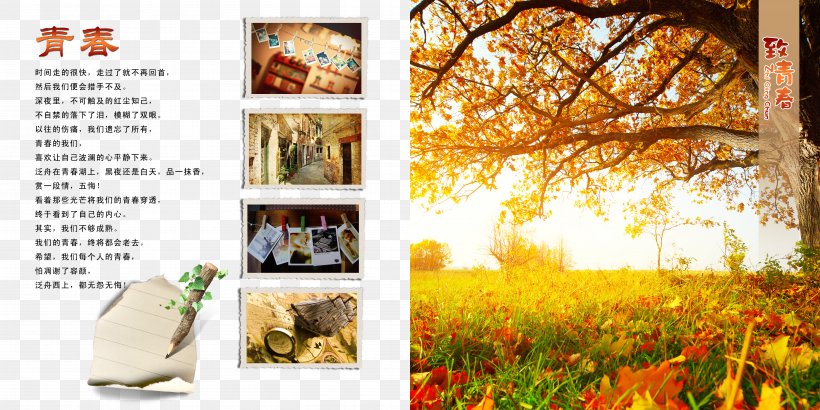 Desktop Metaphor Autumn Leaf Table Wallpaper, PNG, 5906x2953px, Desktop Metaphor, Advertising, Autumn, Branch, Collage Download Free