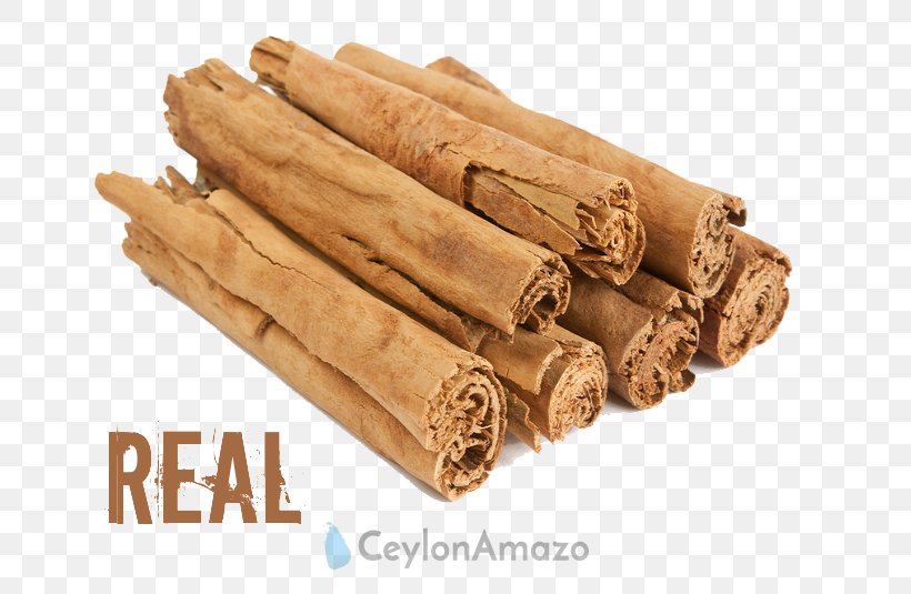 Dominion Of Ceylon Cinnamomum Verum Chinese Cinnamon Saigon Cinnamon, PNG, 700x535px, Dominion Of Ceylon, Bark, Chinese Cinnamon, Cinnamomum, Cinnamomum Verum Download Free