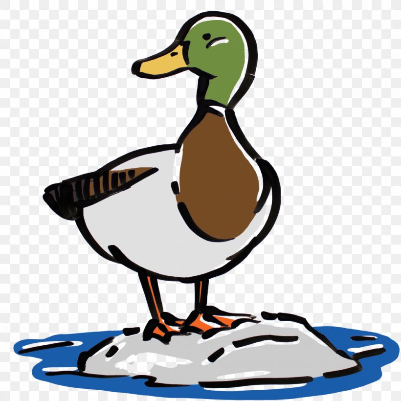 Mallard Duck Beak Clip Art, PNG, 1000x1000px, Mallard, Artwork, Beak, Bird, Duck Download Free