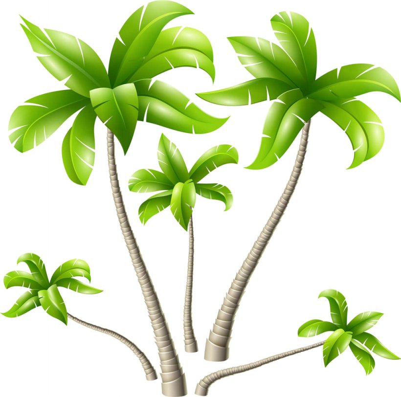 Pará Rubber Tree Paper, PNG, 1024x1015px, Tree, Arecaceae, Branch, Cartoon, Flower Download Free