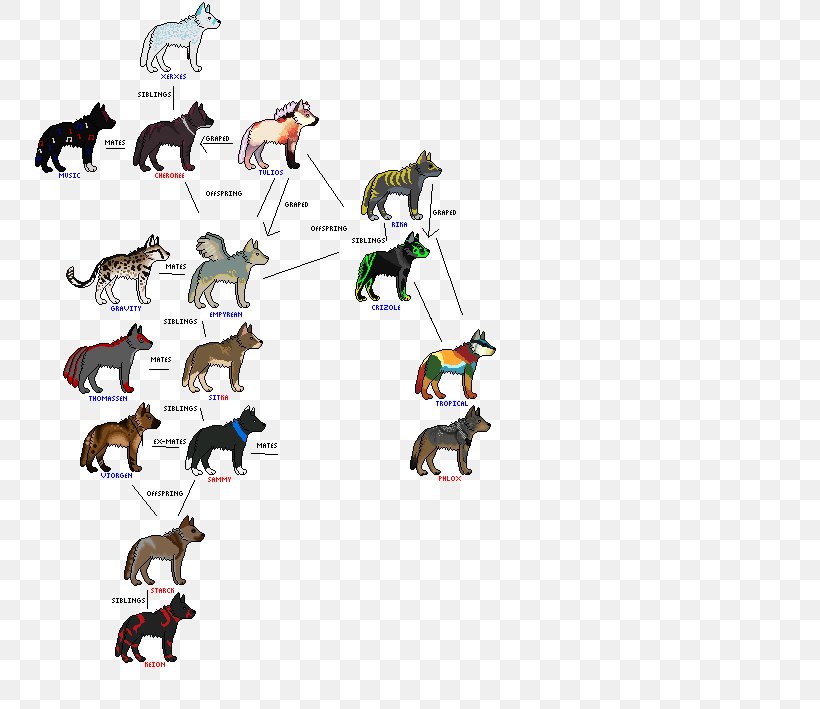 wolf to dog family tree