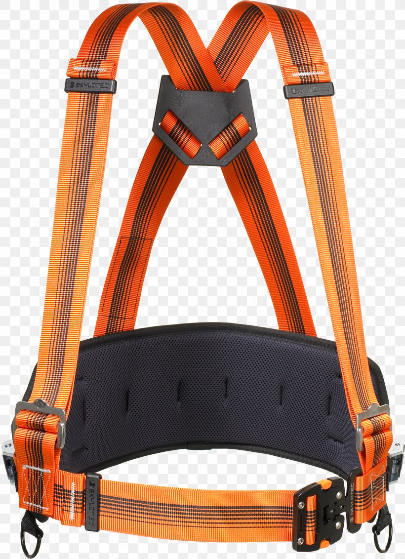 Climbing Harnesses Horse SKYLOTEC Personal Protective Equipment, PNG, 1772x2447px, Climbing Harnesses, Belt, Buckle, Climbing, Climbing Harness Download Free