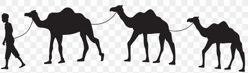 Dromedary Camel Train Silhouette Horse Clip Art, PNG, 8000x2380px, Dromedary, Arabian Camel, Black And White, Camel, Camel Like Mammal Download Free