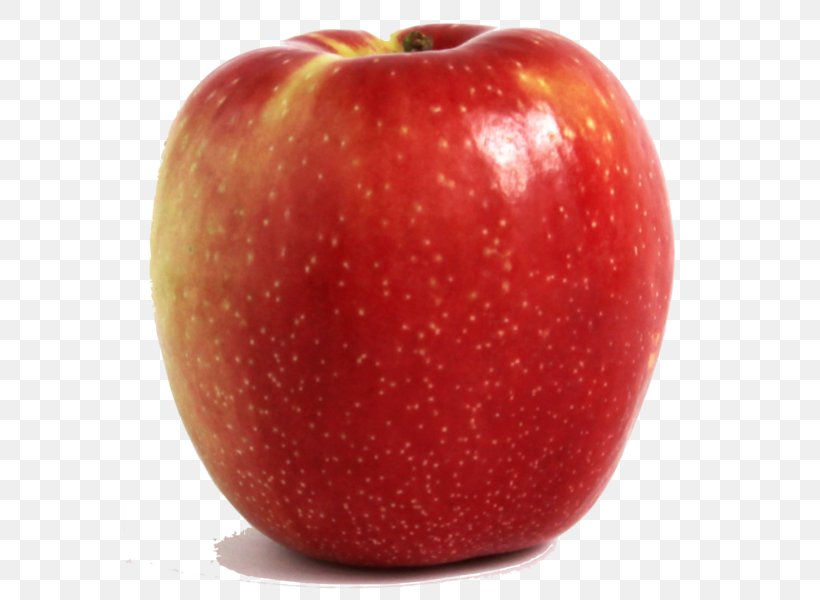 McIntosh Red SweeTango Apple Gala Ambrosia, PNG, 600x600px, Mcintosh Red, Accessory Fruit, Ambrosia, Apple, Braeburn Download Free