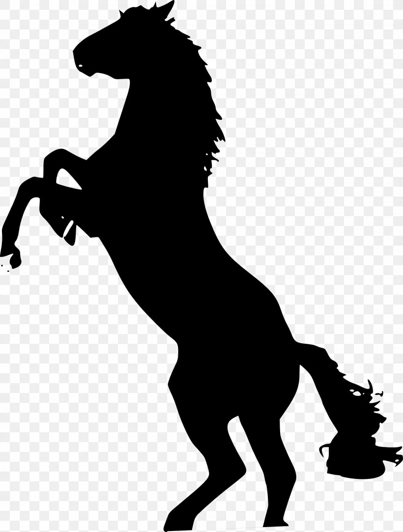 Mustang Stallion The Behaviour Of The Horse Clip Art, PNG, 1646x2174px, Mustang, Behaviour Of The Horse, Black, Black And White, Colt Download Free