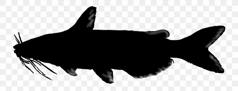Shark Marine Mammal Fauna Snout Silhouette, PNG, 3042x1173px, Shark, Black M, Fauna, Fin, Fish Download Free