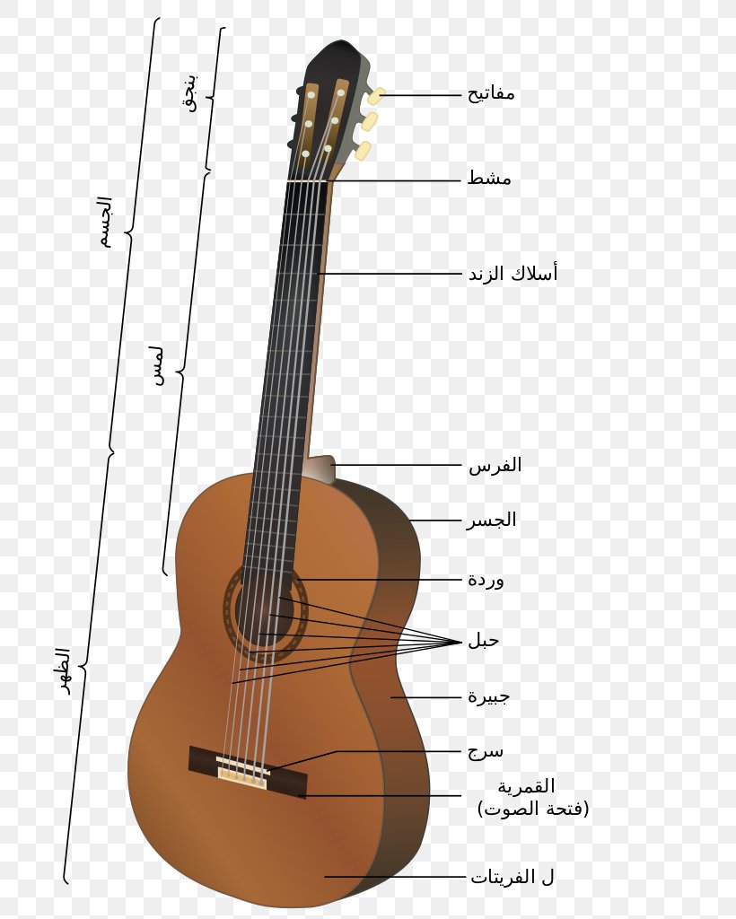 Acoustic Guitar Electric Guitar String Classical Guitar, PNG, 744x1024px, Watercolor, Cartoon, Flower, Frame, Heart Download Free