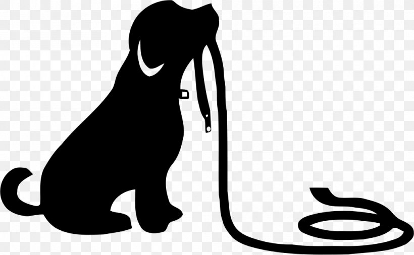 Cat Dog Leash Puppy Obedience School, PNG, 1037x640px, Cat, Animal Training, Black, Black And White, Carnivoran Download Free