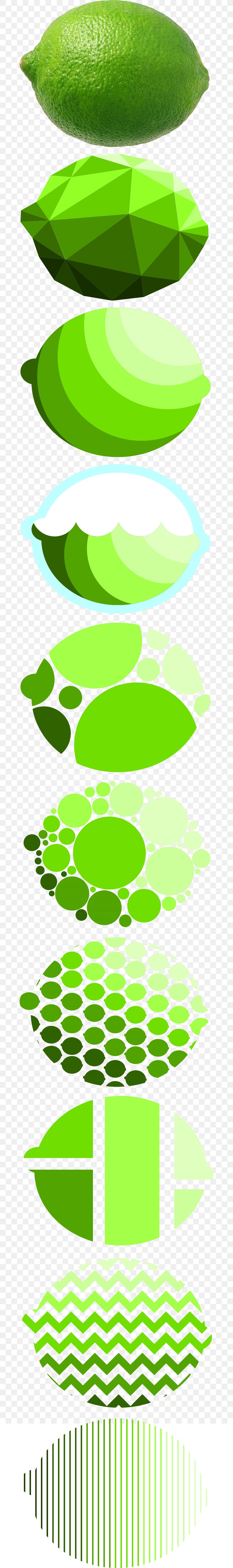 Limey Fruit Line Shape, PNG, 682x5507px, Lime, Art, Fruit, Grass, Green Download Free