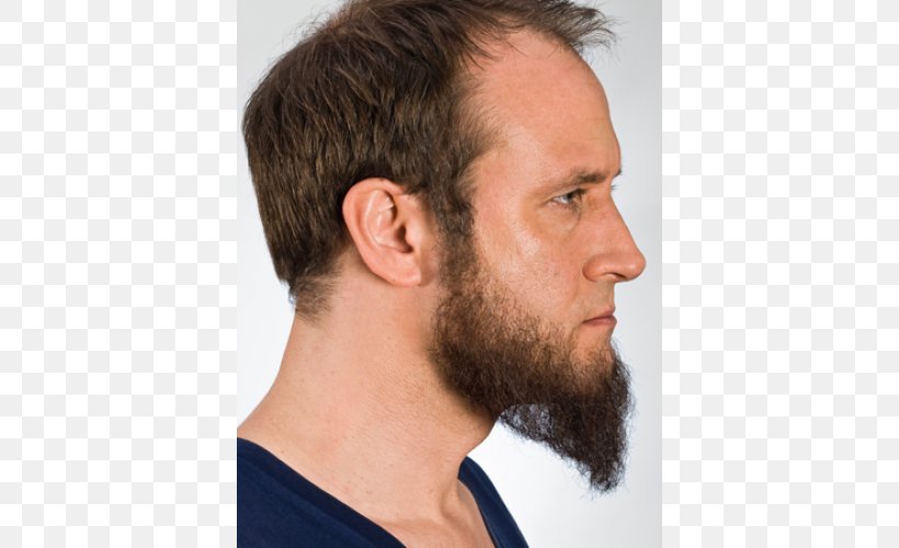 Beard Chin Facial Hair Moustache, PNG, 500x500px, Beard, Bangs, Chin, Color, Cosmetics Download Free